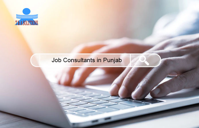 Job Consultants in Punjab